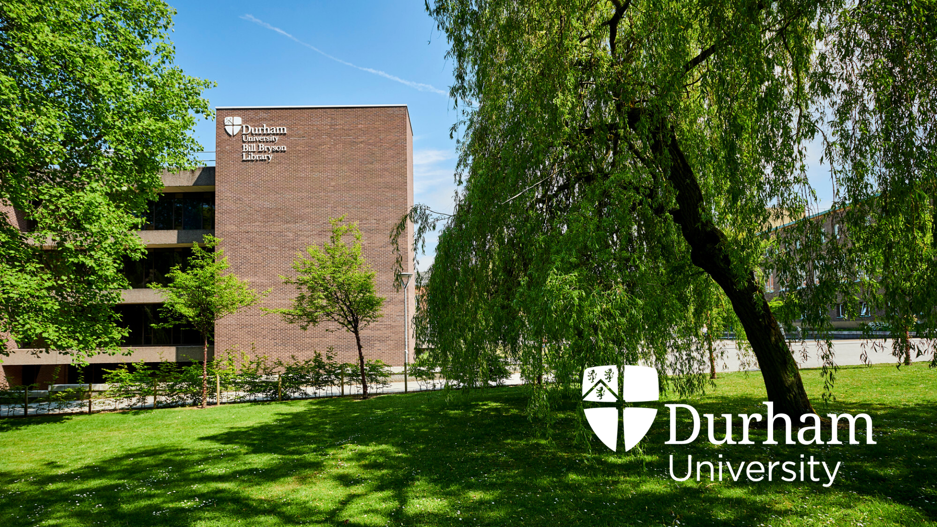 From “webinarghghgh!” to “webinaaaaaah…”